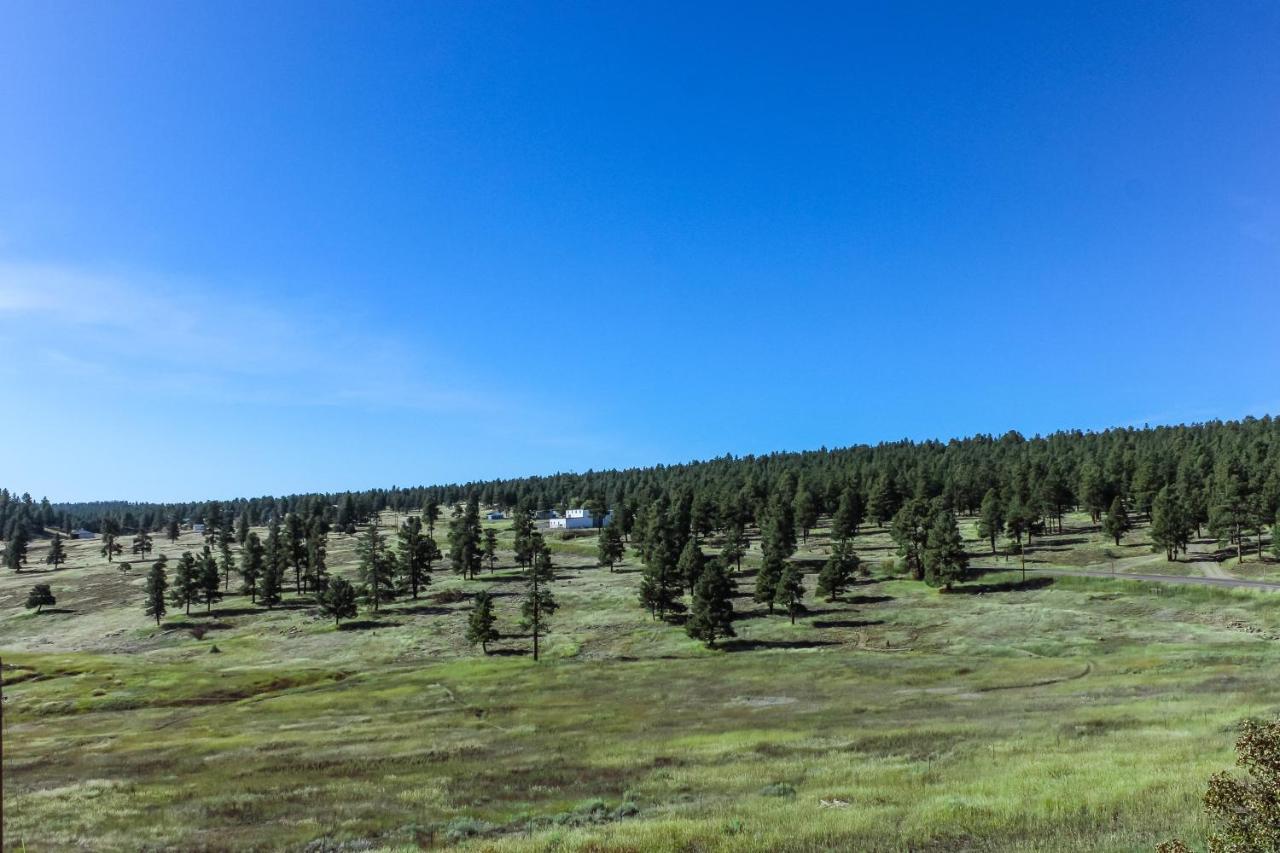 Split Pine Cabin Pagosa Springs Luaran gambar